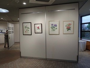 180417ElWEP4160045.jpg