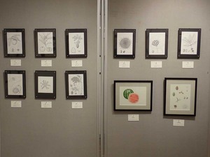 180417ElWEP4160049.jpg