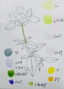 250210lVAF{DSC_1478.gif