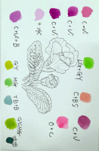 250326WAF{ԎDSC_1504.gif