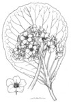 q}LmV^.jpg