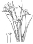 t[WA2011.jpg