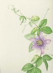 v@.jpg