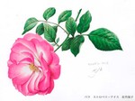ēEẢ.jpg