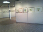 TS3P01610001.jpg