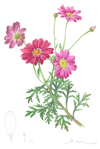 s180412.jpg